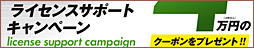Kawasaki ライセンスサポートキャンペーン